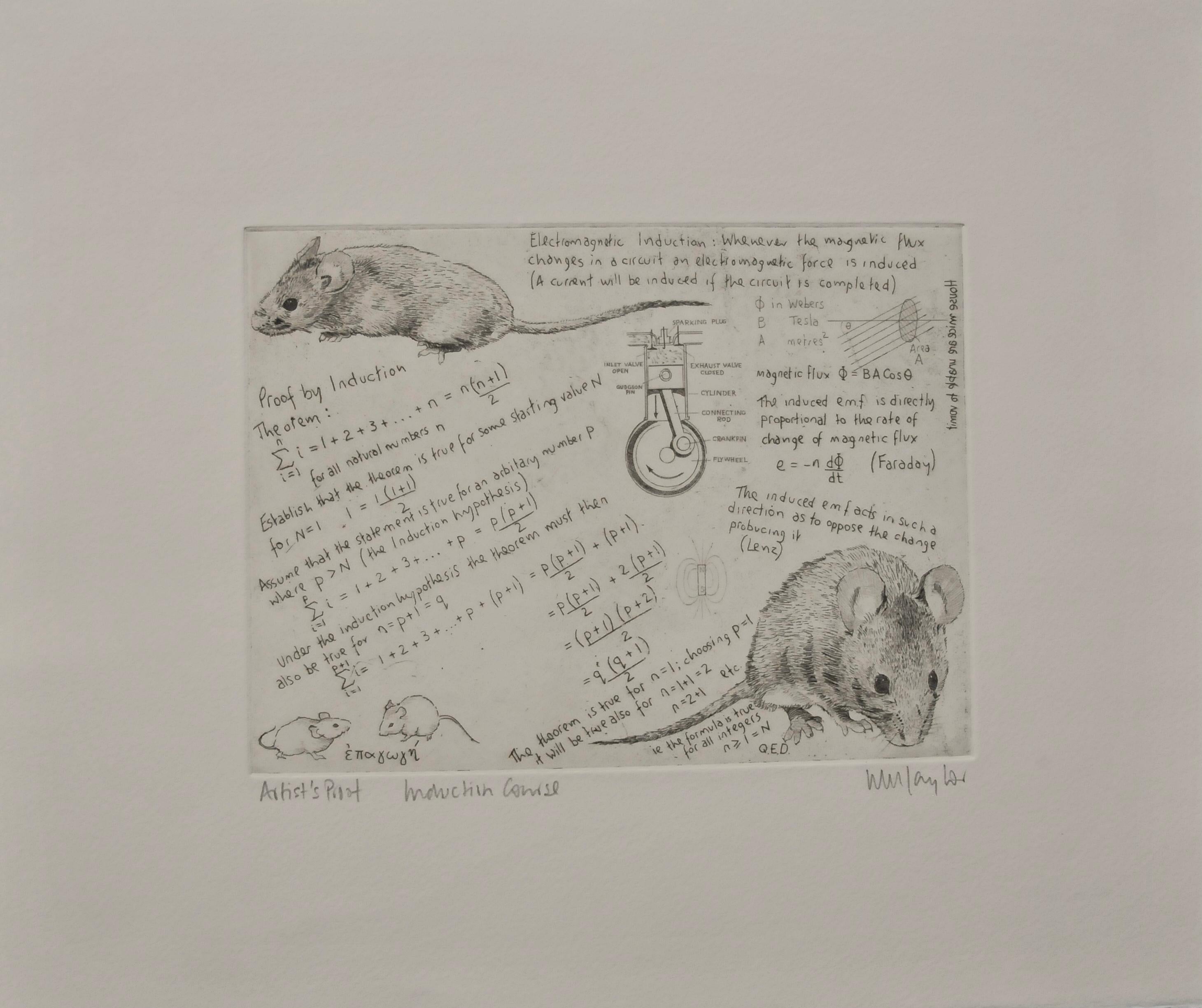 Will Taylor Print - Induction Course, Art print, Animal Art, Mathematics, mouse 