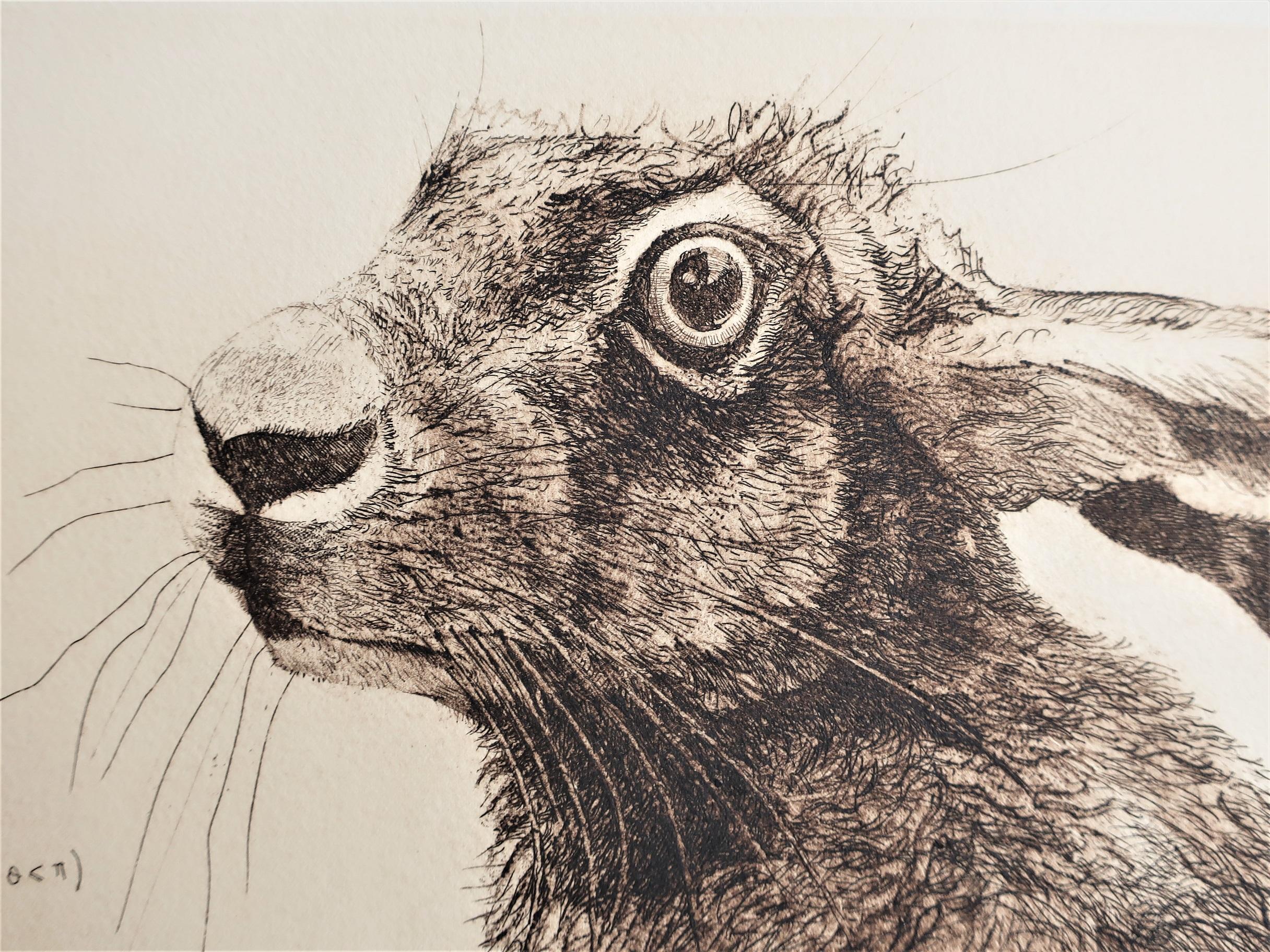 WILL TAYLOR
Archimedes’ Hare
Original limited edition of 30 – printed by the artist on Somerset 300gsm Cotton paper
Copper-plate etching
Image size W 30 cm x H 40 cm
Sheet size W 47 cm x H 56 x D 0.2cm
Sold unframed

Please note that in situ images