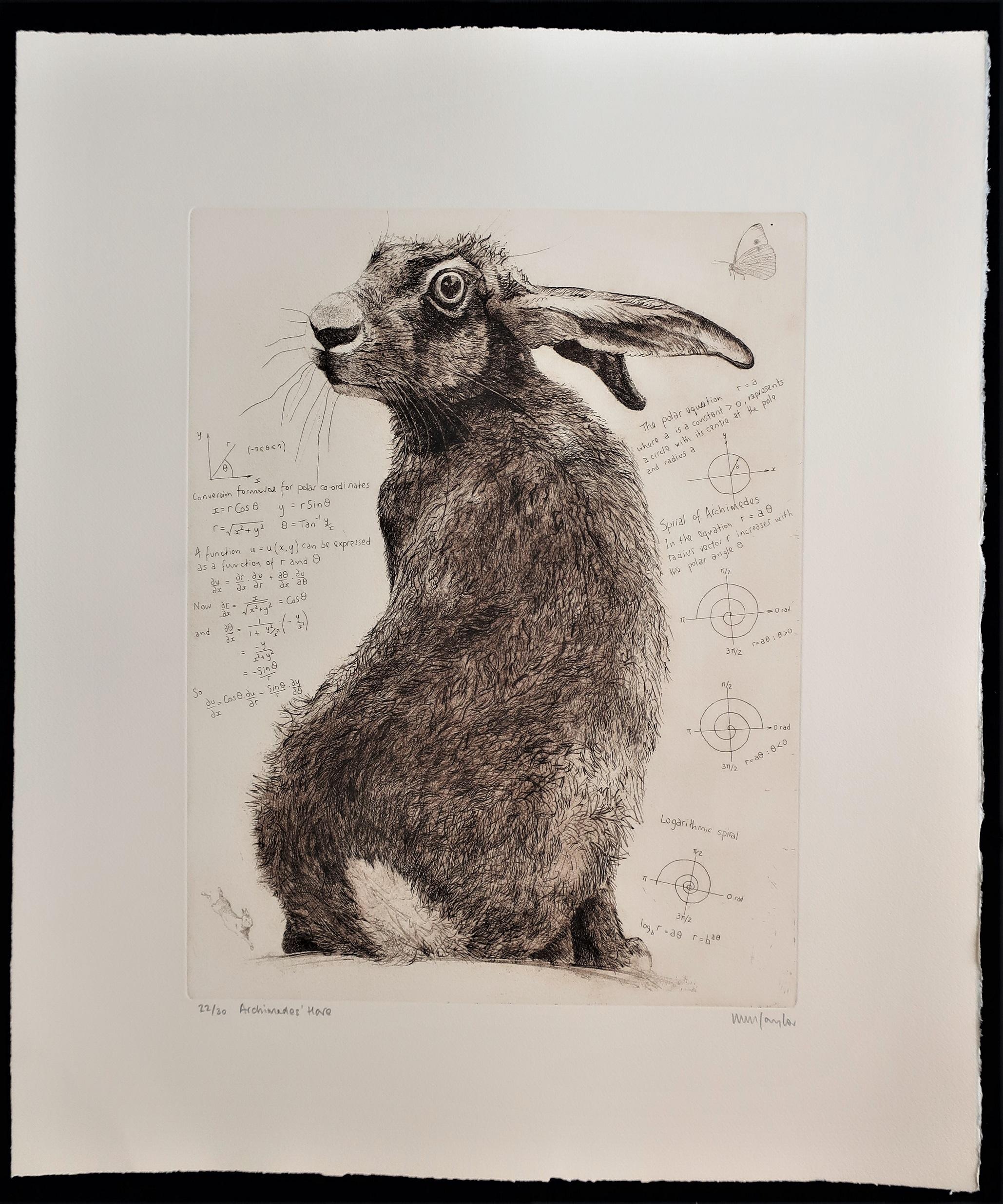 Will Taylor, Archimedes' Hase, Tierkunst, Erschwingliche Kunst, Kunst Online im Angebot 3