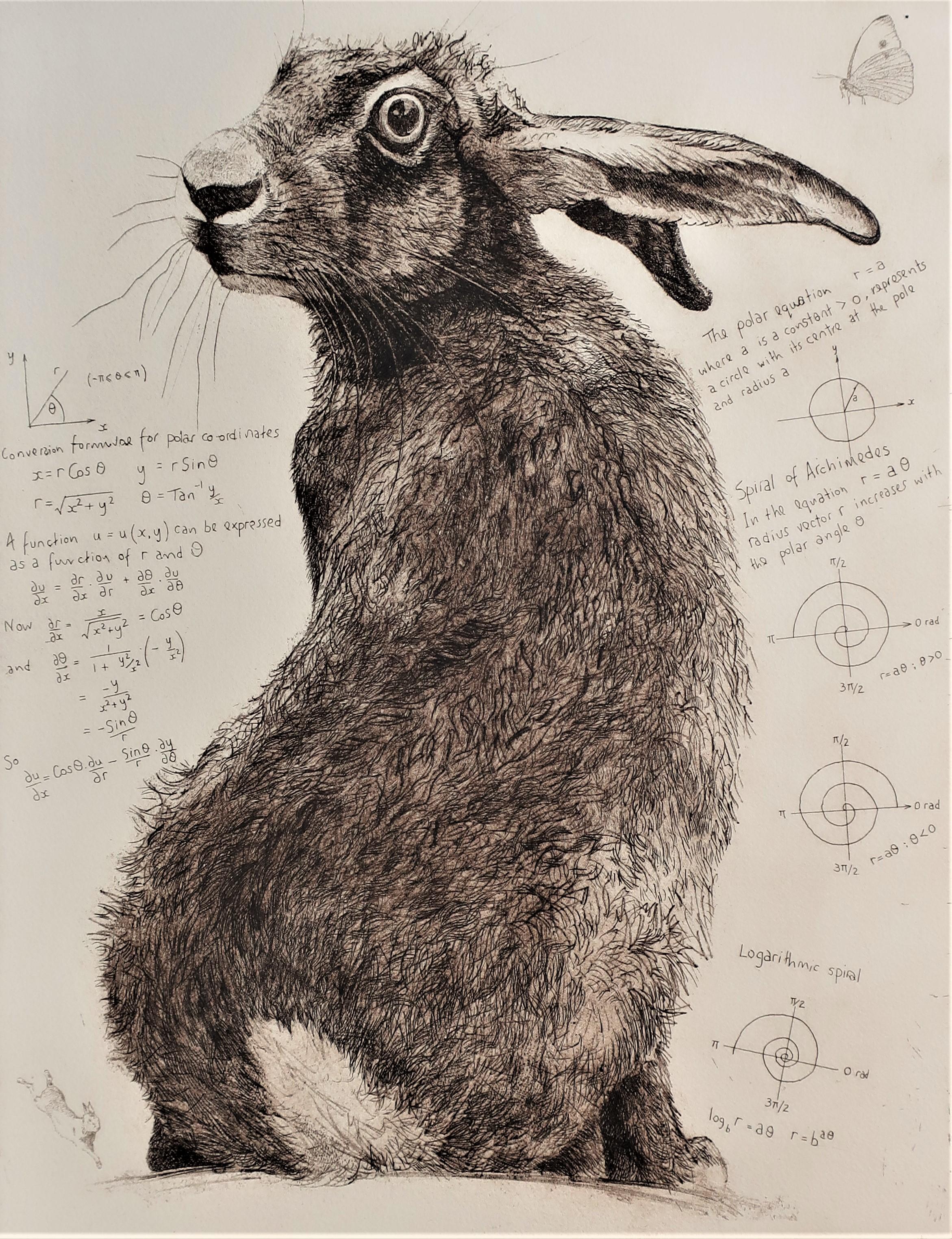 Will Taylor, Archimedes' Hase, Tierkunst, Erschwingliche Kunst, Kunst Online