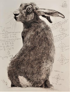 Will Taylor, Archimedes’ Hare, Animal Art, Affordable Art, Art Online