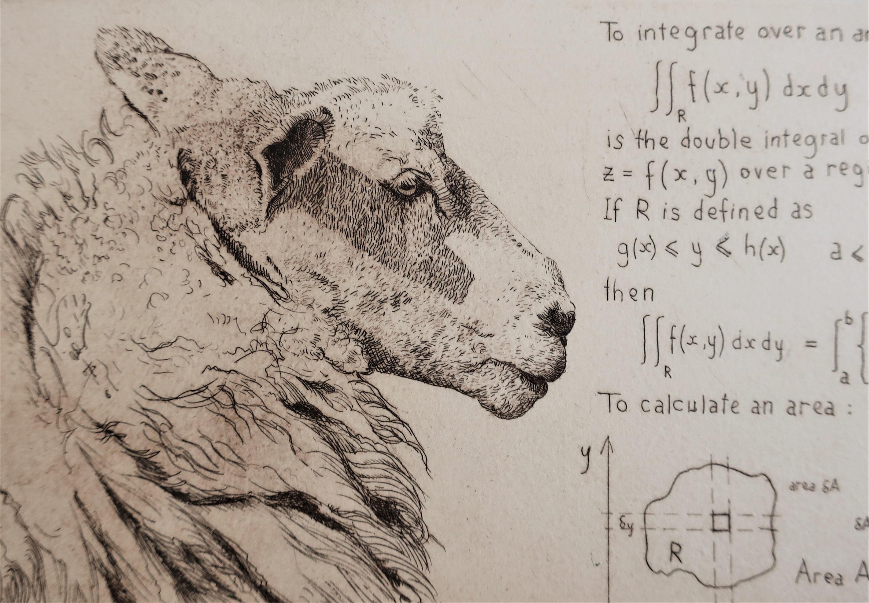 Will Taylor 
Sheep Field Theory
Original limited edition of 50 – printed by the artist on Somerset 300gsm Cotton paper
Copper-plate etching
Image size W 25 cm x H 20 cm
Sheet size W 39 cm x H 36 cm
Sold unframed
Free Shipping
Please note that in