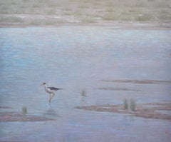 Black Necked Stilt
