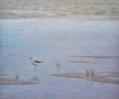 Black Necked Stilt 