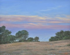 Bolinas