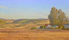 Petaluma Ranch / Sunlit western landscape American Realsim