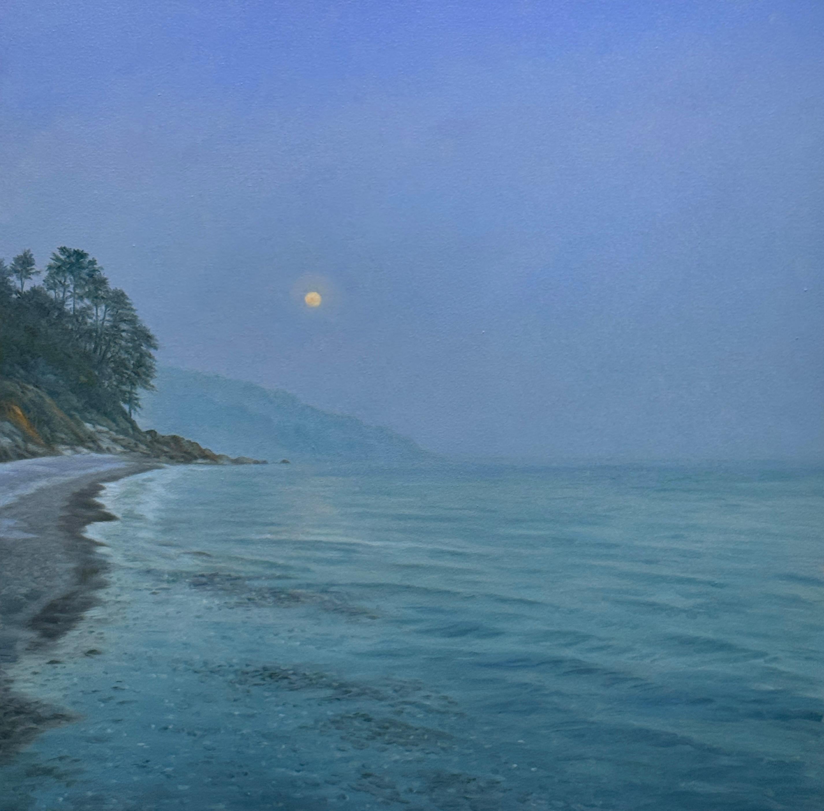 Moonlit coast