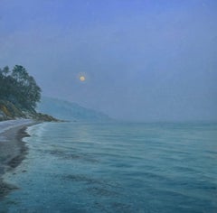 Moonlit coast