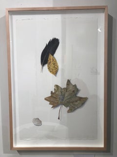 Nature morte avec plumes et feuilles
