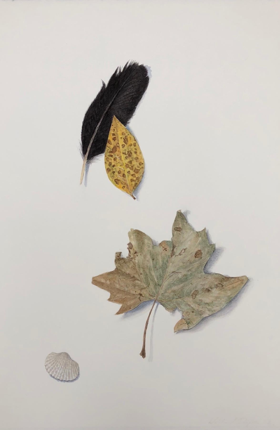 Still-Life Painting Willard Dixon - Nature morte avec plumes et feuilles