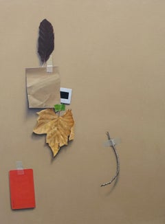 Still Life with Feather