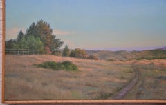 View from the Fire Road,
