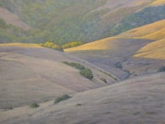 West Marin Hills