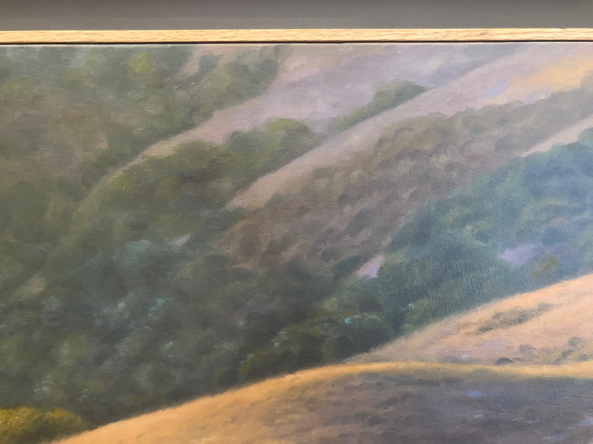 WEST MARIN HILLS - rolling hills realism California landscape - Painting by Willard Dixon