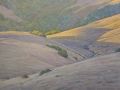 WEST MARIN HILLS - rolling hills realism California landscape