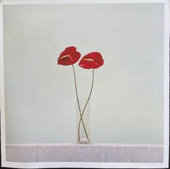 Antherium – ltd. ed. Druck auf Papier