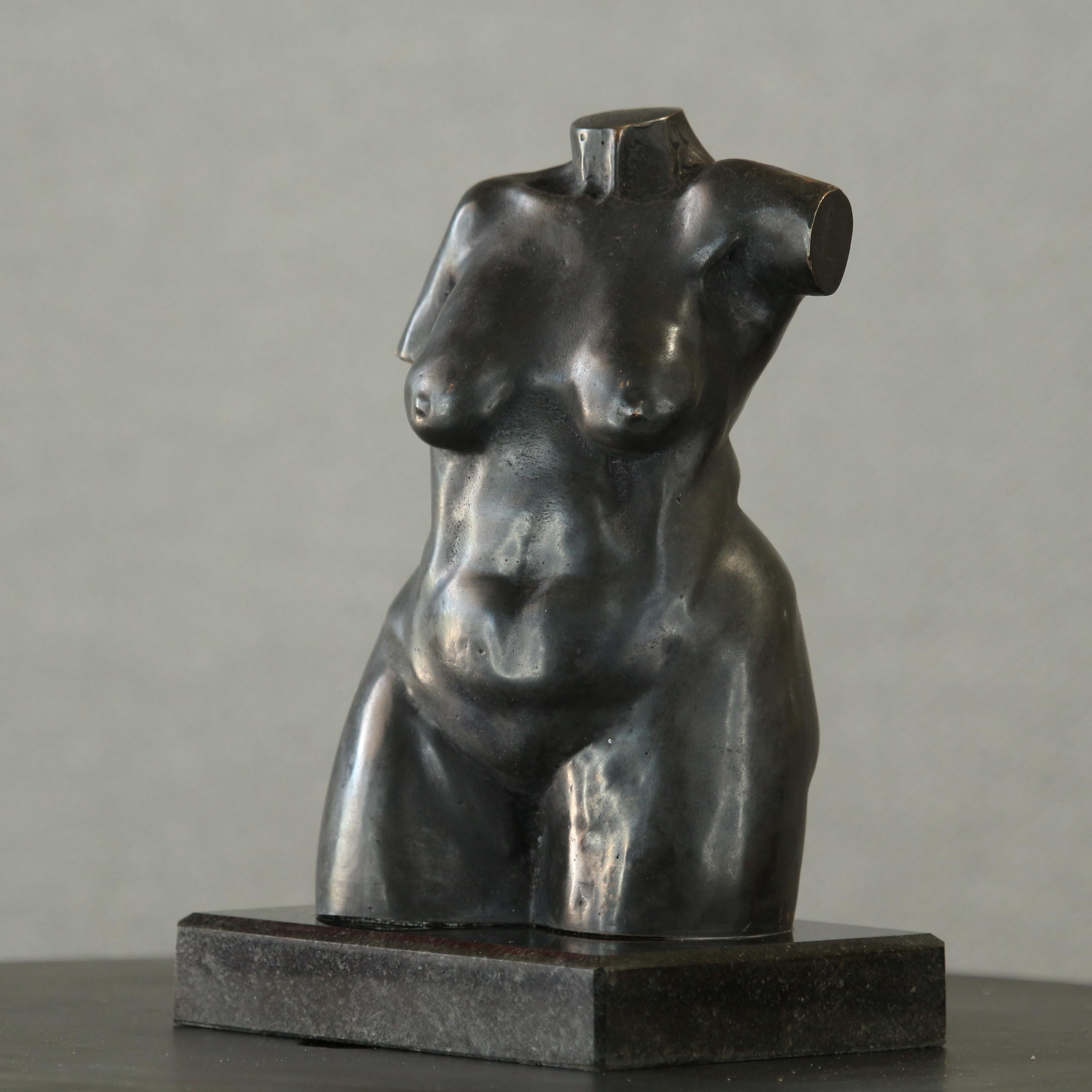 Torse de femme féminine - Petite sculpture figurative de femme en bronze patiné brun foncé - Sculpture de Willem Botha 