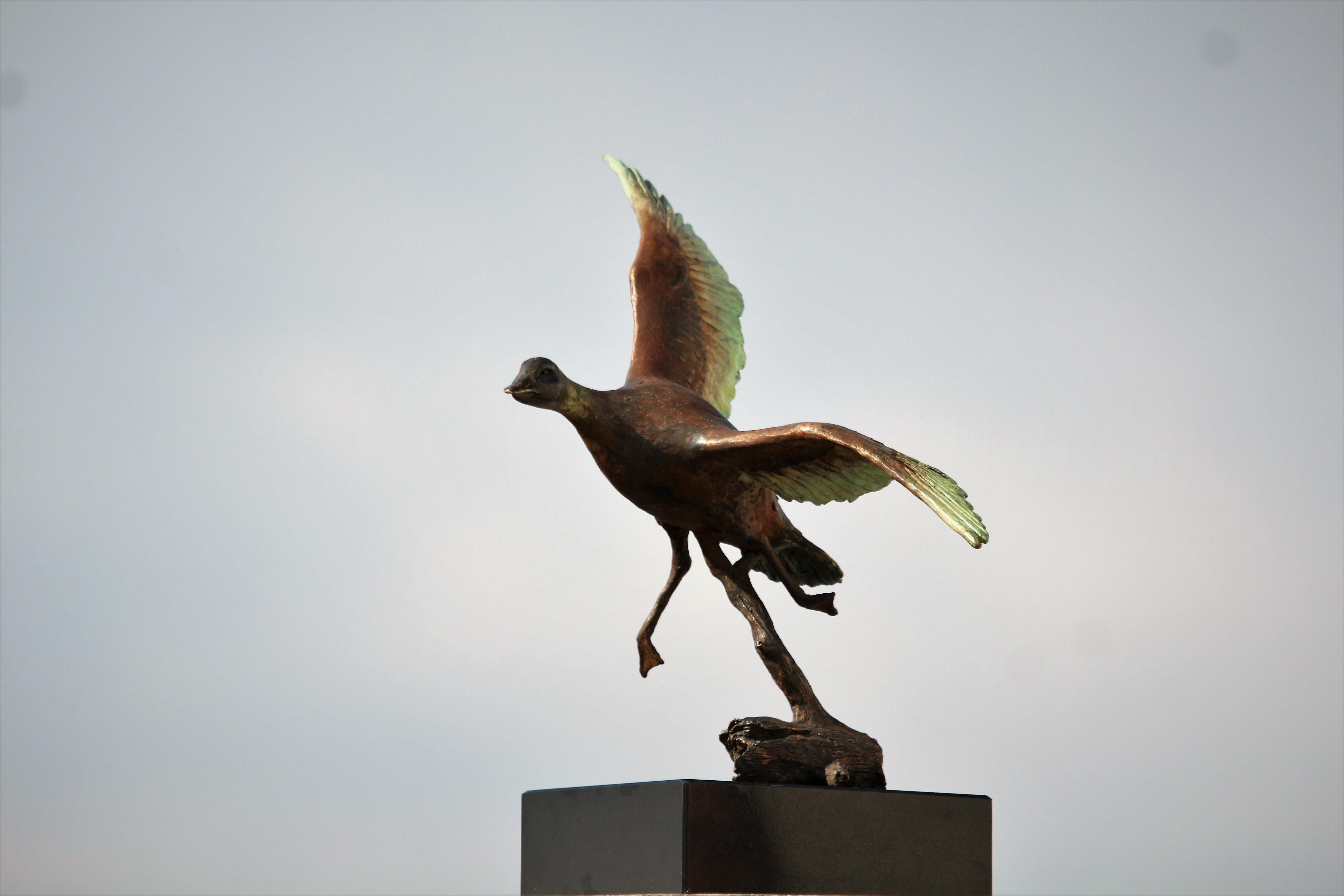 Pato Volador - Pequeña Escultura Figurativa Bronce Marrón Verde Salpicadura Negro Pátina - Sculpture de Willem Botha 