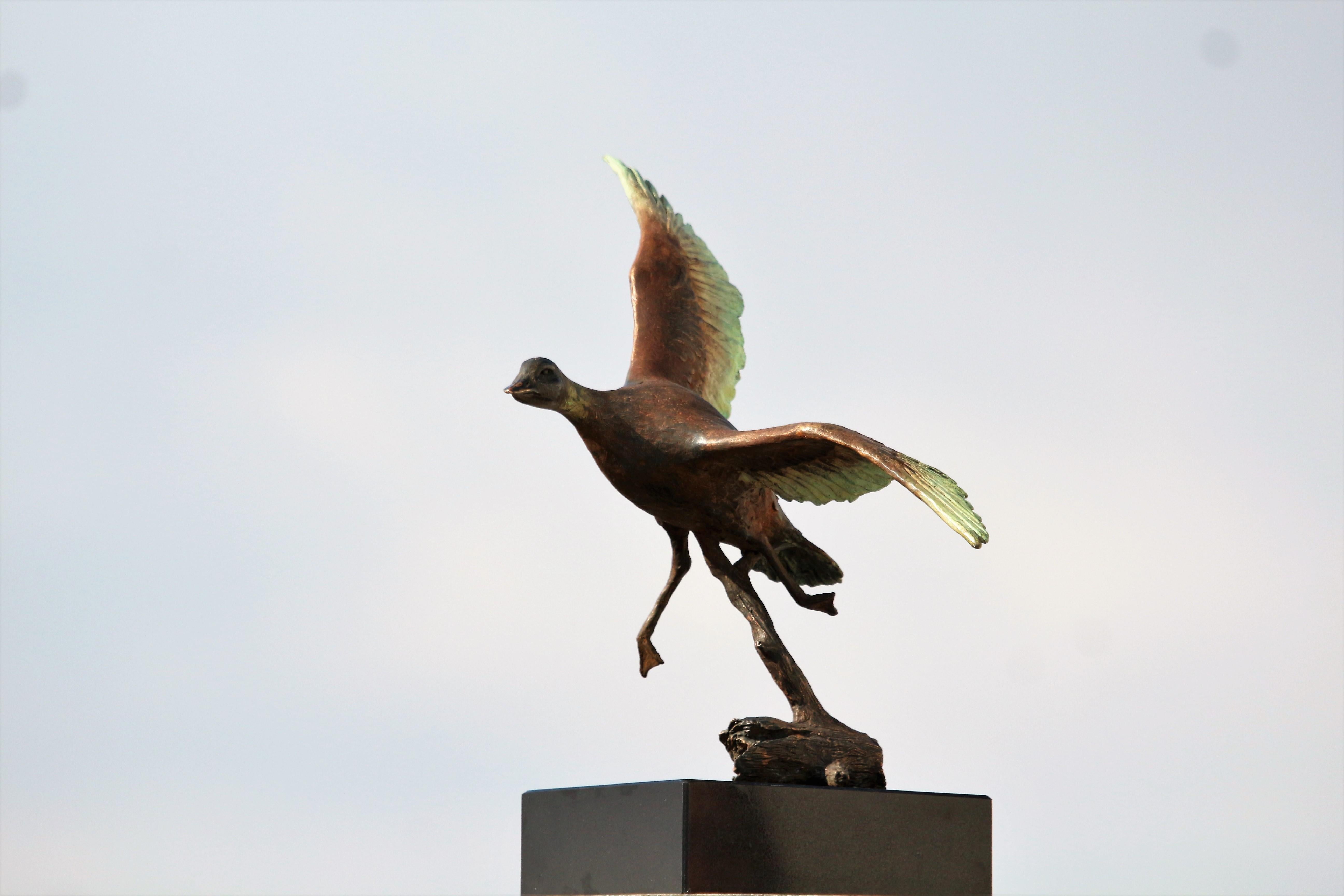Flying Duck - Small Figurative Sculpture Bronze Brown Green Dash Black Patina For Sale 1