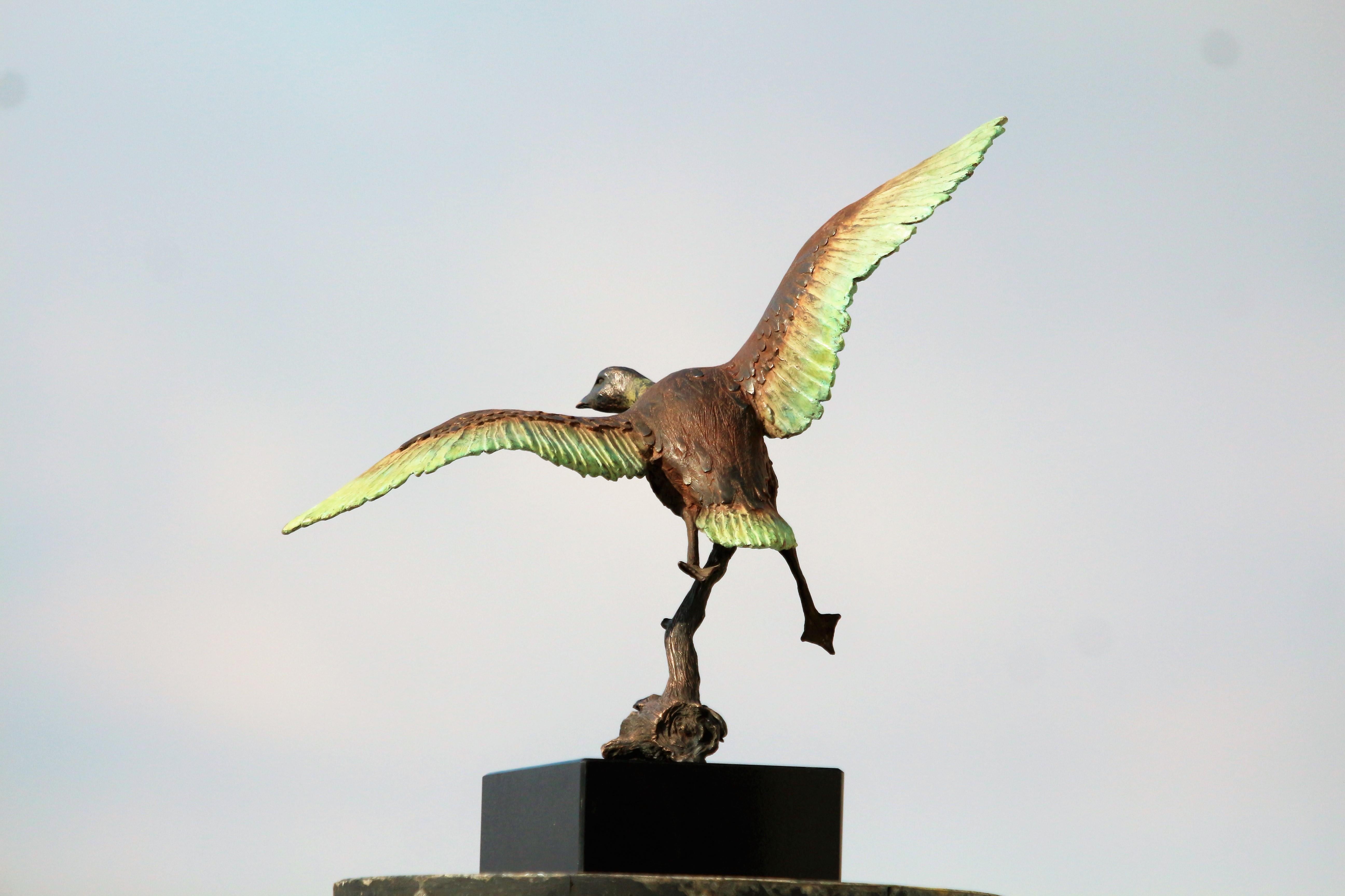 Flying Duck - Small Figurative Sculpture Bronze Brown Green Dash Black Patina For Sale 3