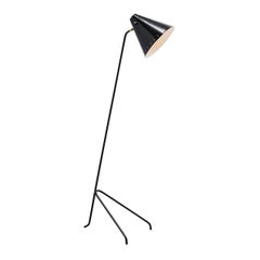 Willem Hagoort Grasshopper Floor Lamp, Holland, 1955