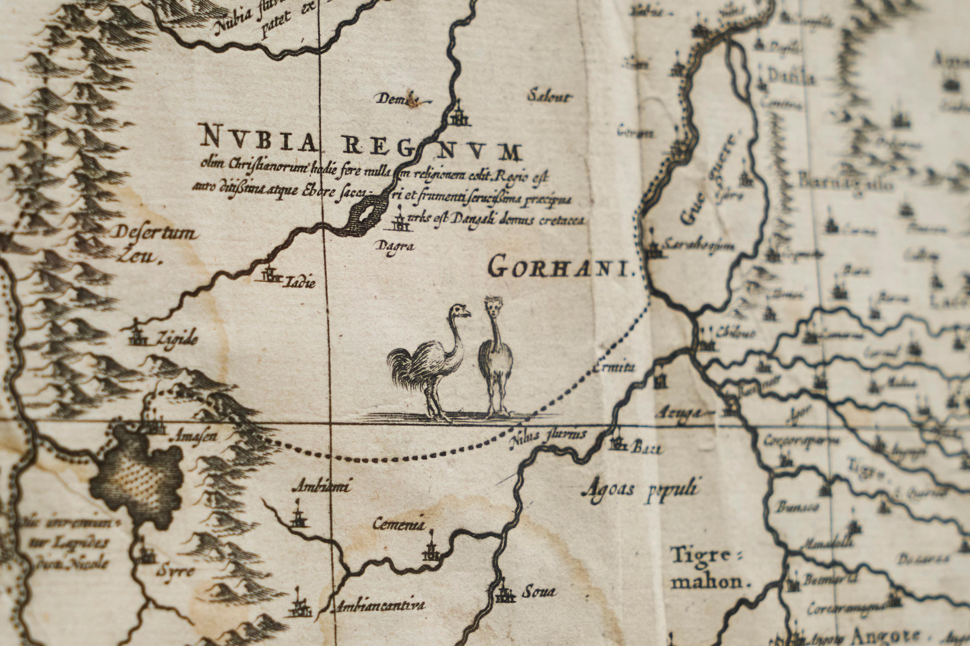 Willem Janszoon Blaeu Rare Original 17th Century Map of Ethiopia in a Pine Frame For Sale 6
