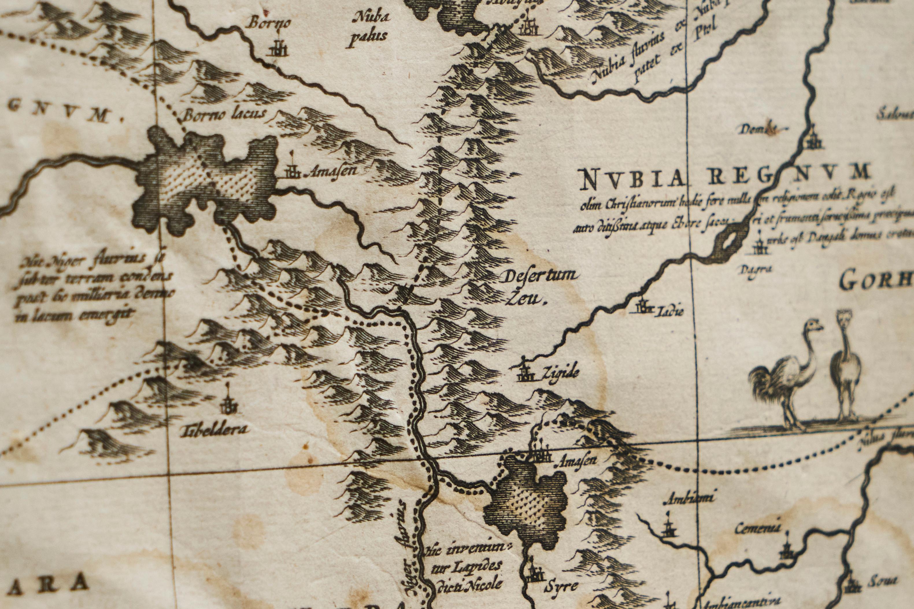 Willem Janszoon Blaeu Rare Original 17th Century Map of Ethiopia in a Pine Frame For Sale 3