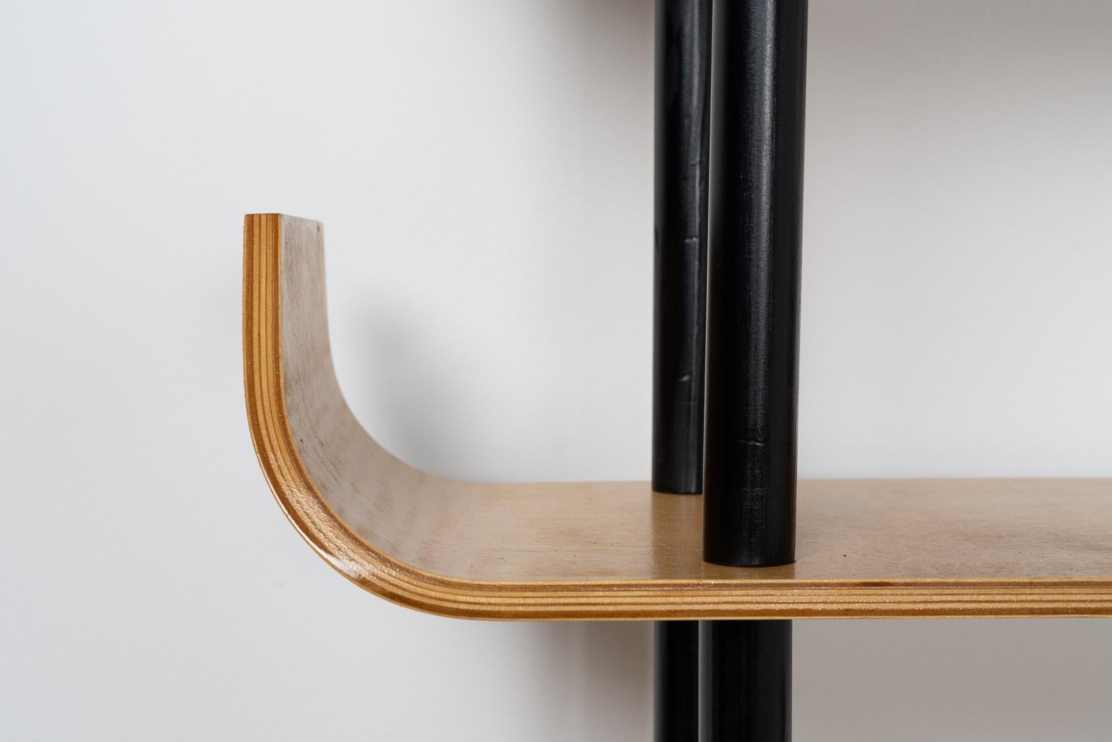 Willem Lutjens Bookcase for Den Boer, Holland 1953 2