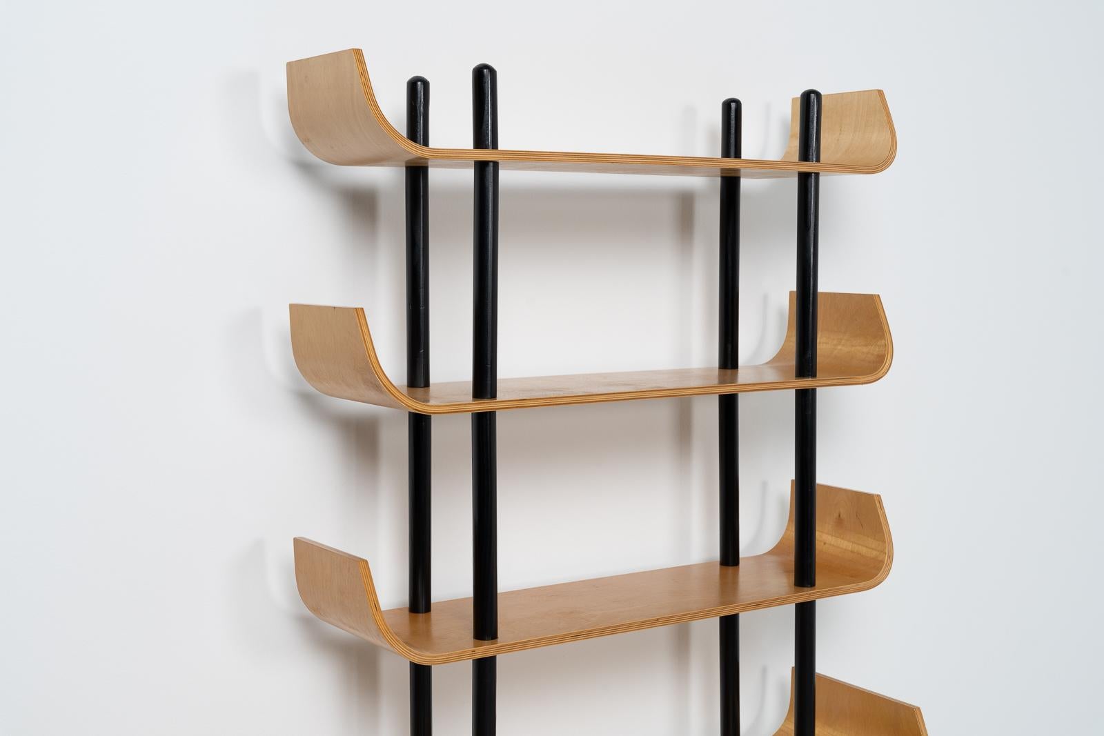 Dutch Willem Lutjens Bookcase for Den Boer, Holland 1953
