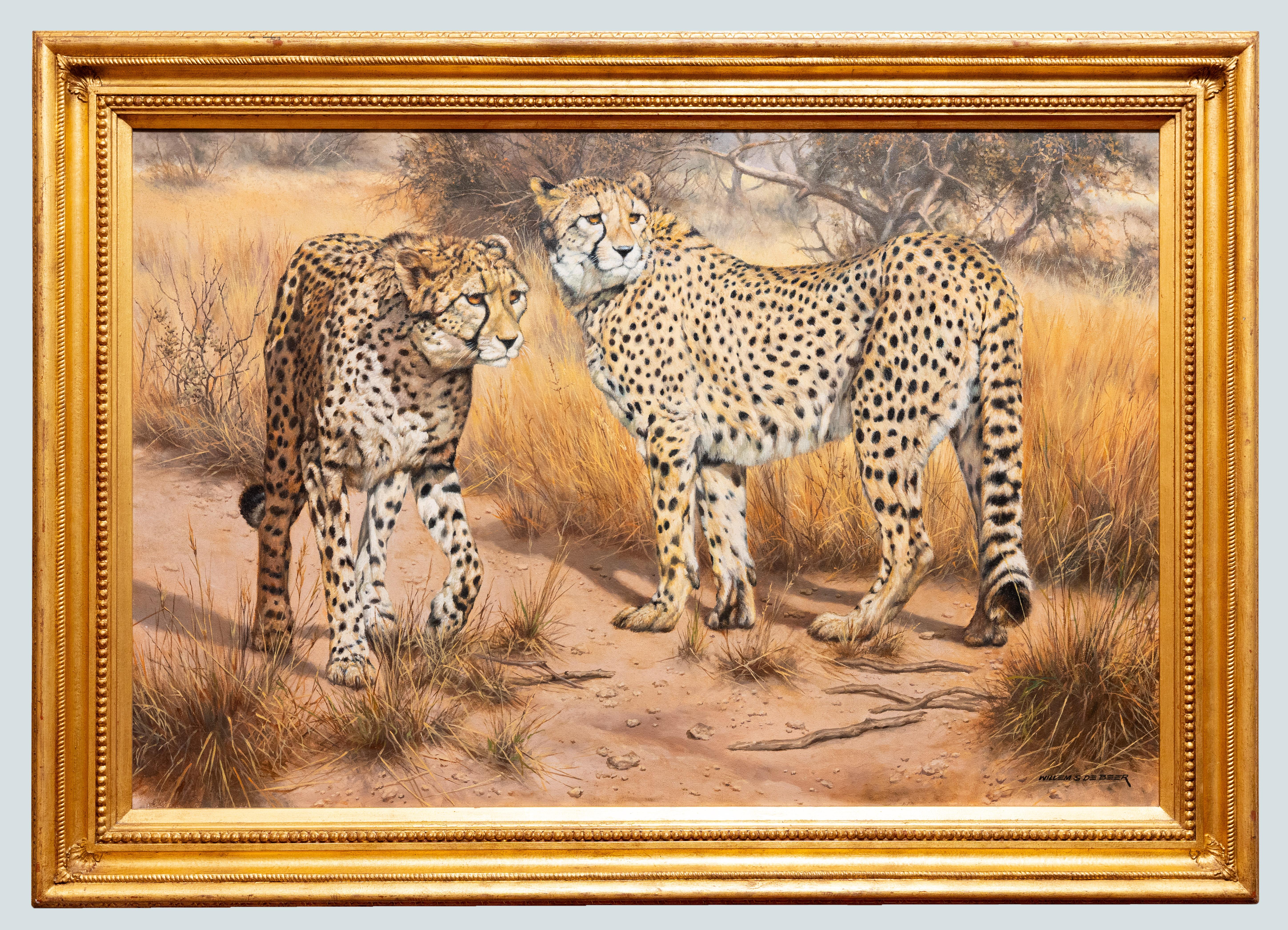 Two Cheetahs in a sunny African landscape, Willem Sternberg de Beer