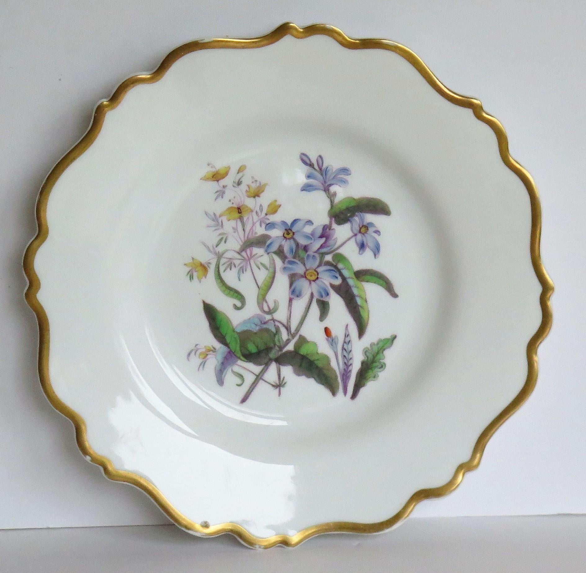 William IVth John Ridgway PAIR Porcelain Plates Hand Painted Botanical, Ca 1830 For Sale 2