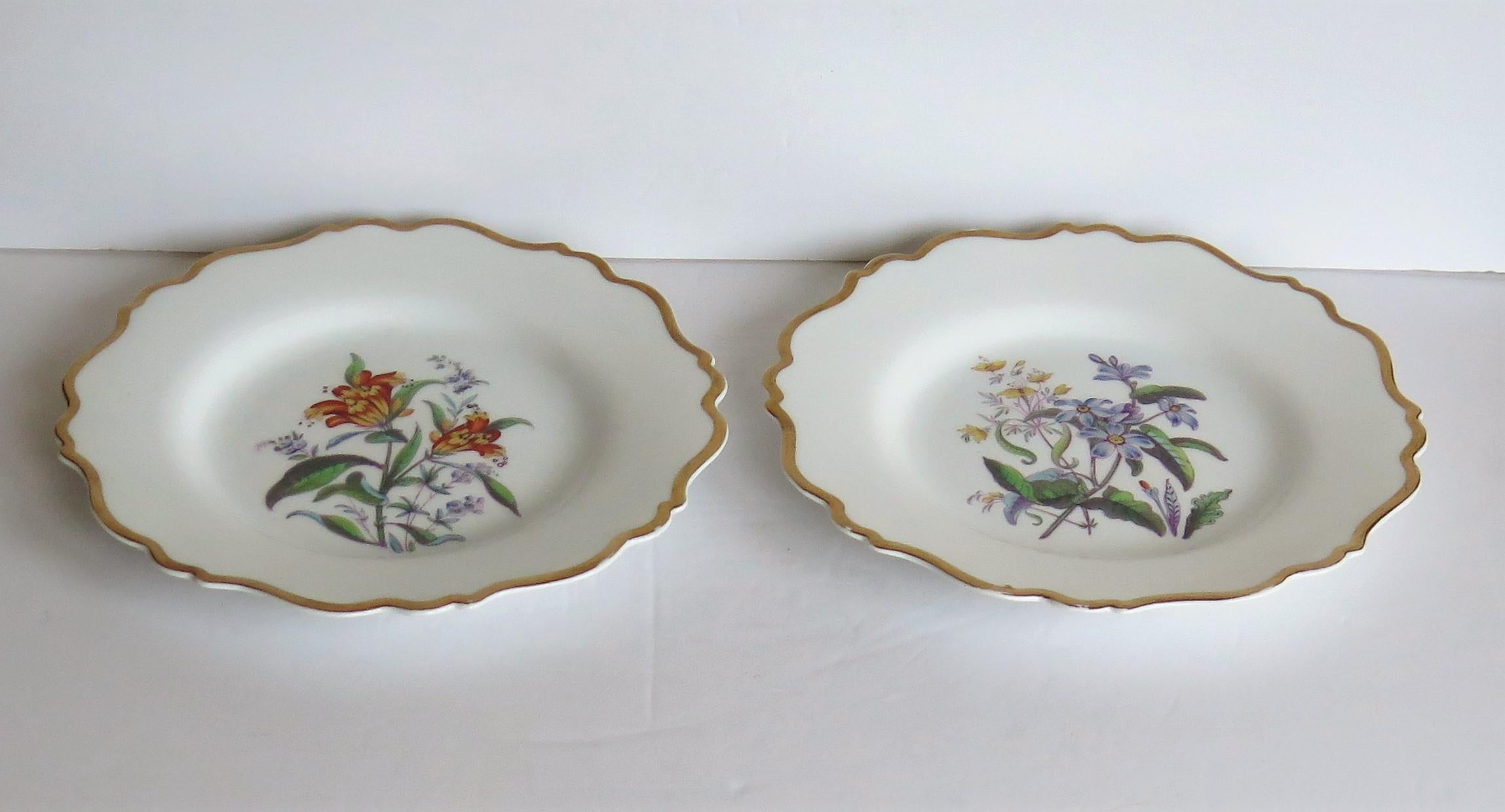 William IVth John Ridgway PAIR Porcelain Plates Hand Painted Botanical, Ca 1830 For Sale 3