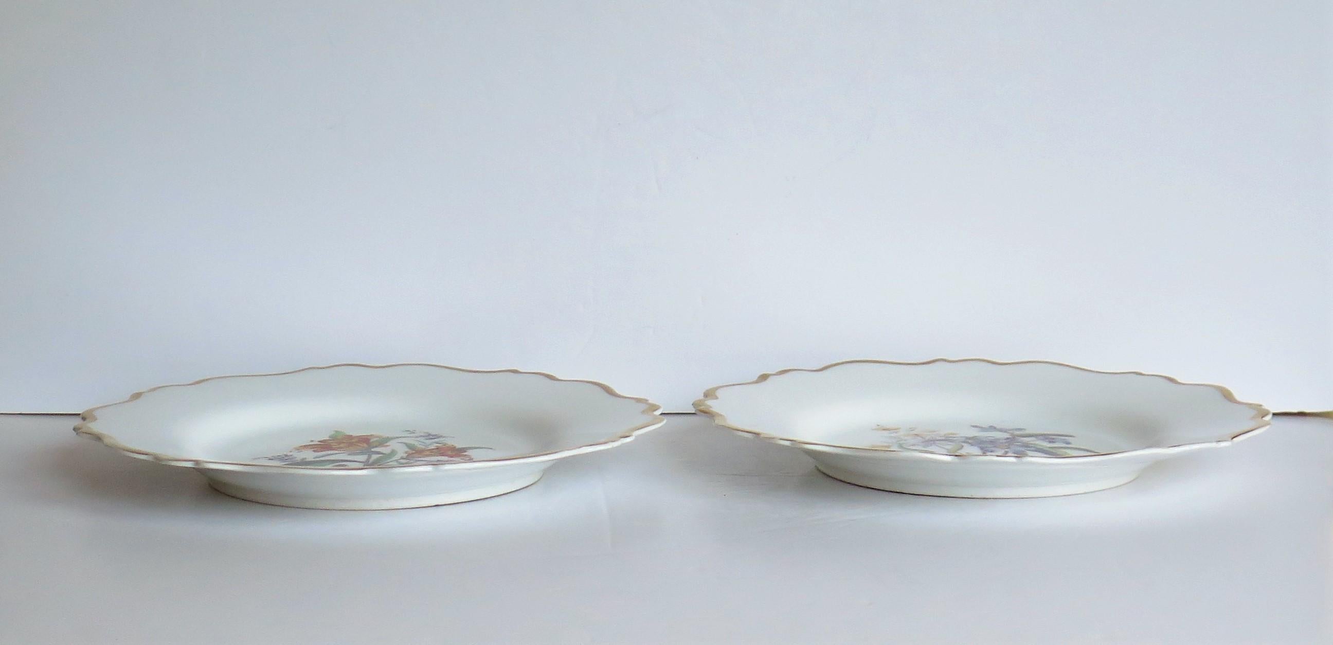 Assiettes en porcelaine PAIR de William IVth John Ridgway peintes à la main de style botanique, vers 1830 en vente 6