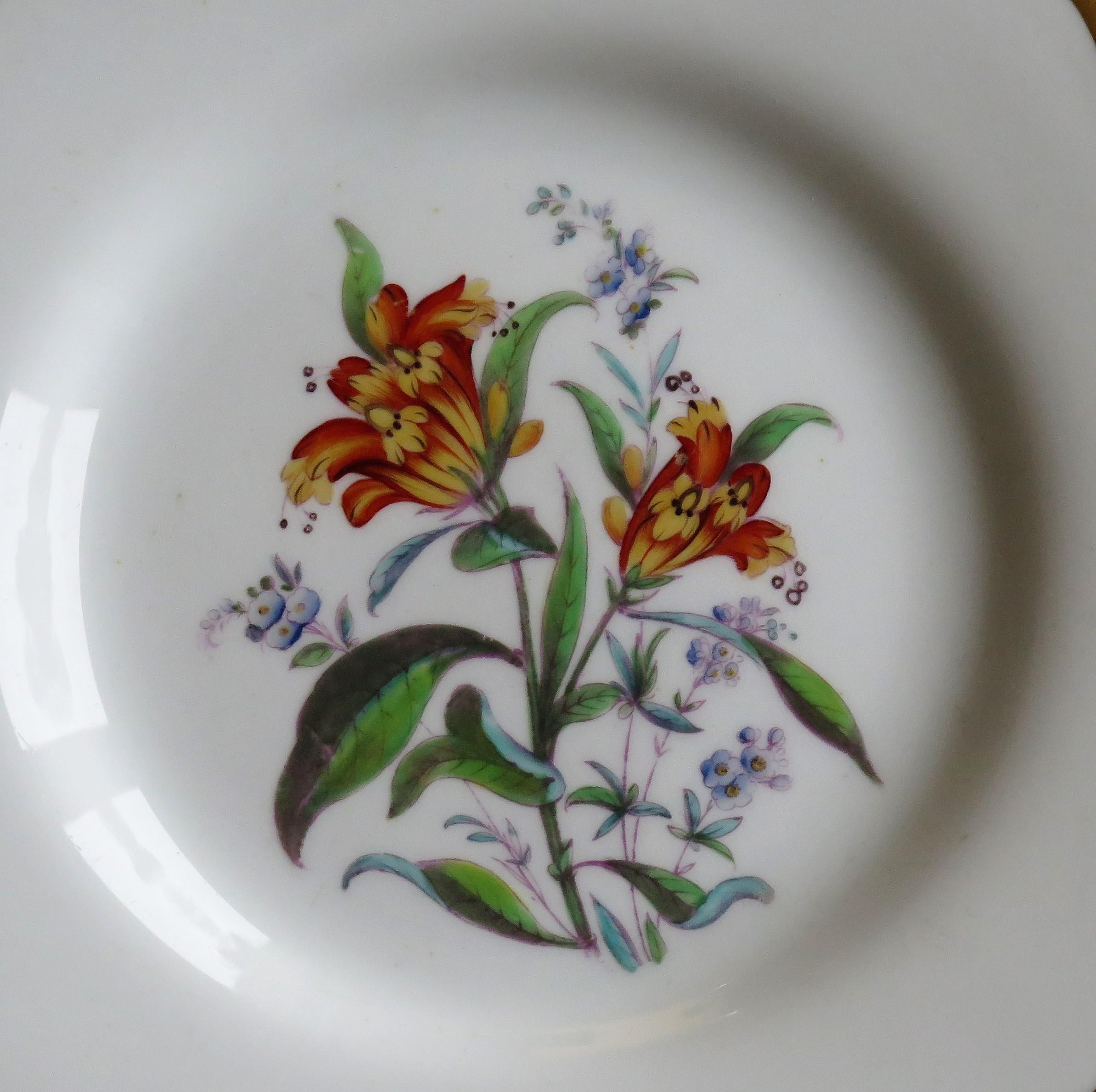 This is a beautiful pair of very decorative, Porcelain Botanical plates by John Ridgway, of Shelton, Hanley, Staffordshire Potteries, England, dating to the William IVth period of the early 19th century, circa 1830.

The plates are circular with a