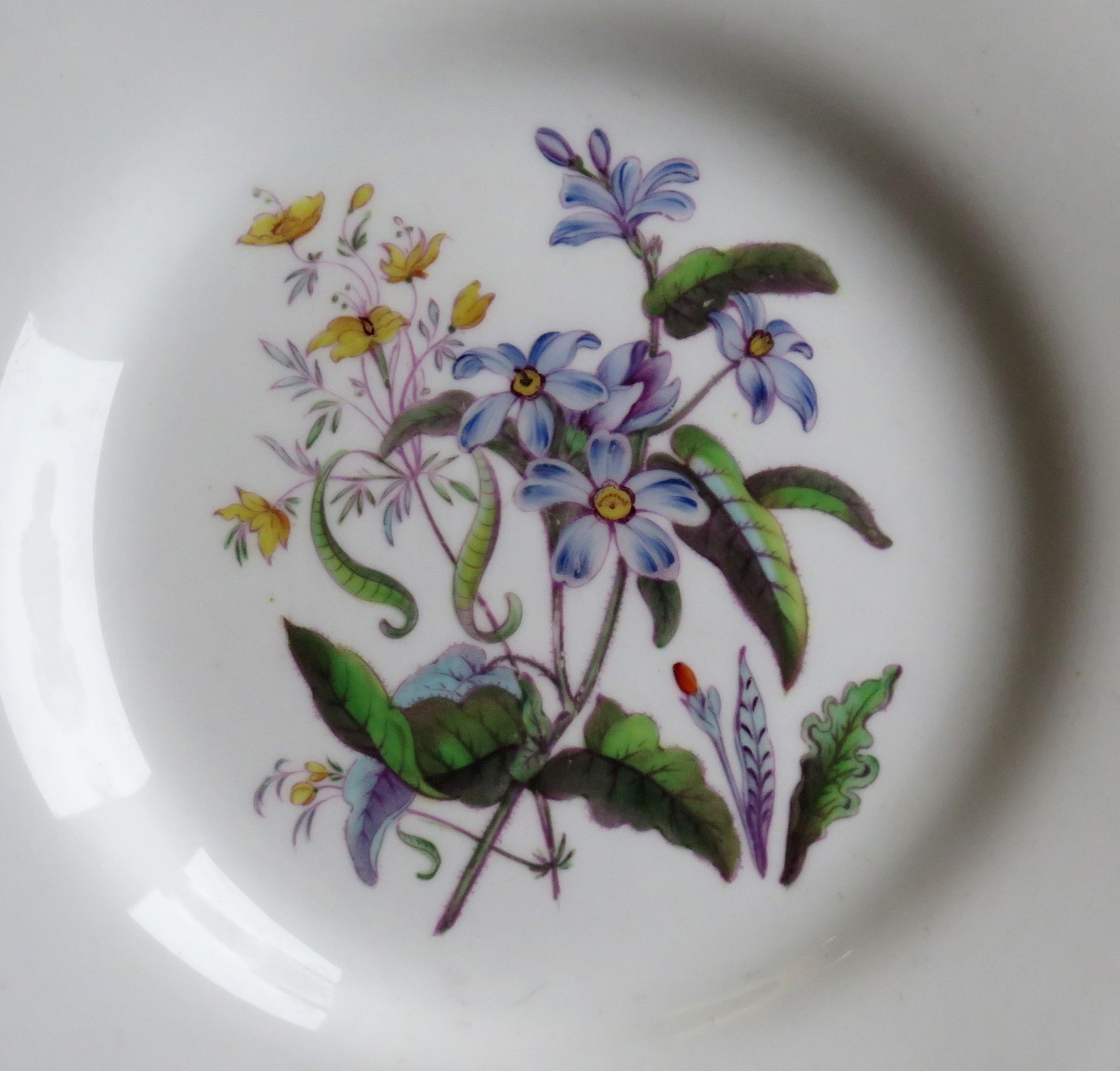 Anglais Assiettes en porcelaine PAIR de William IVth John Ridgway peintes à la main de style botanique, vers 1830 en vente