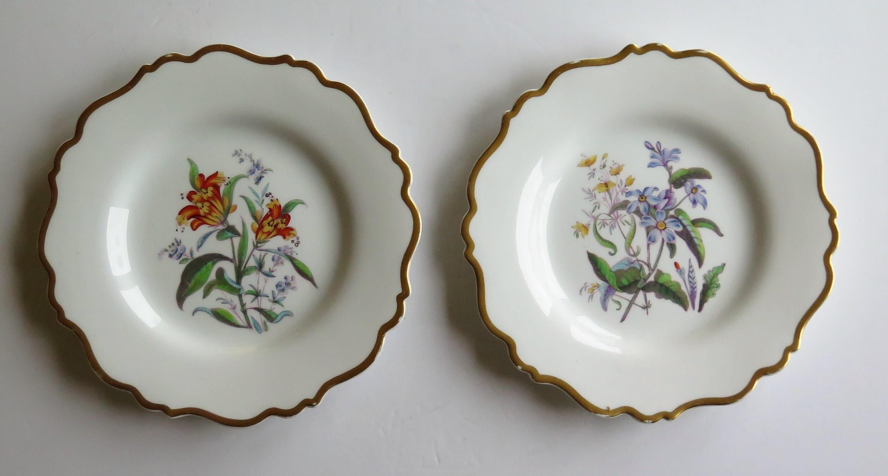 English William IVth John Ridgway PAIR Porcelain Plates Hand Painted Botanical, Ca 1830 For Sale