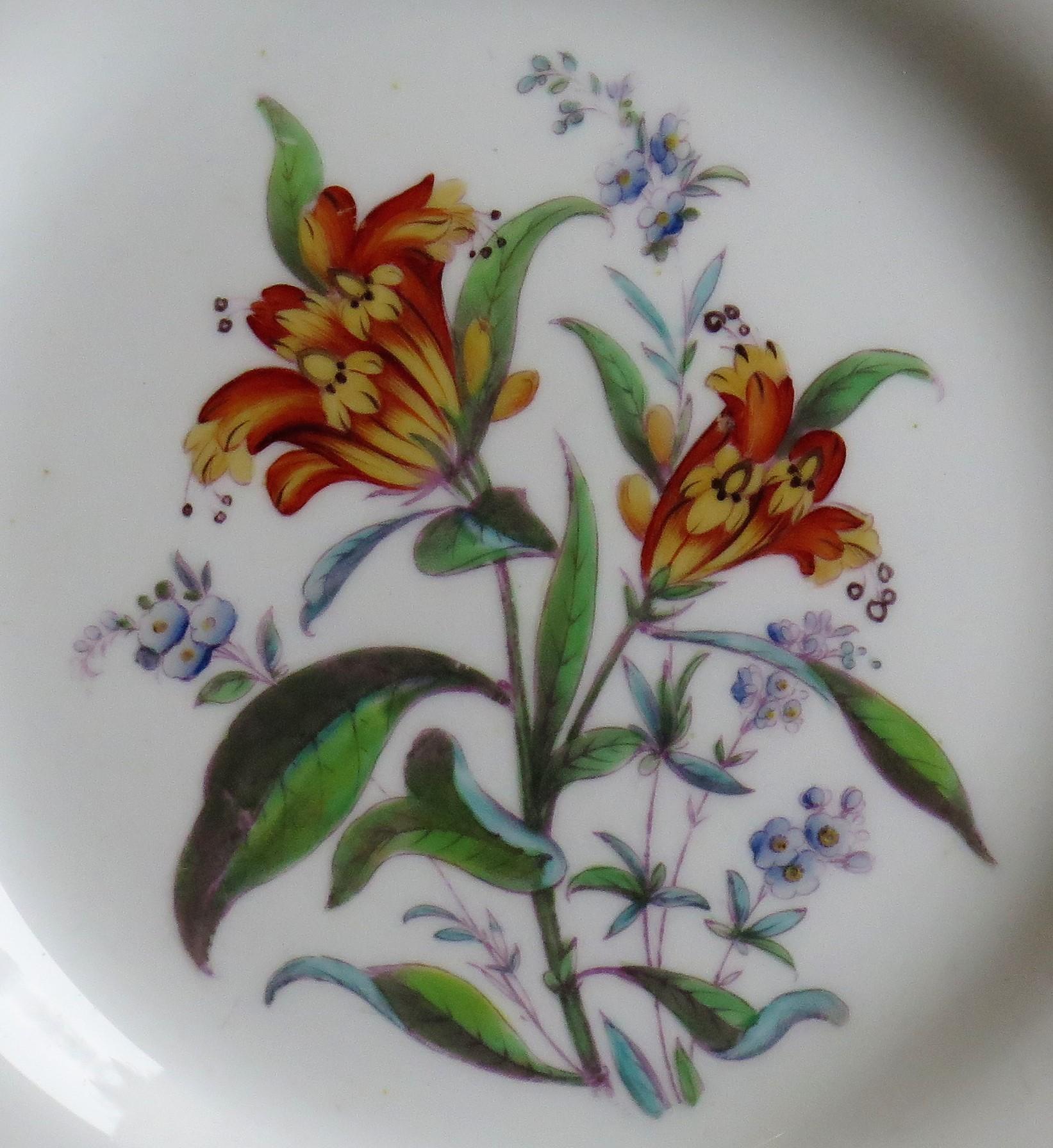 Hand-Painted William IVth John Ridgway PAIR Porcelain Plates Hand Painted Botanical, Ca 1830 For Sale