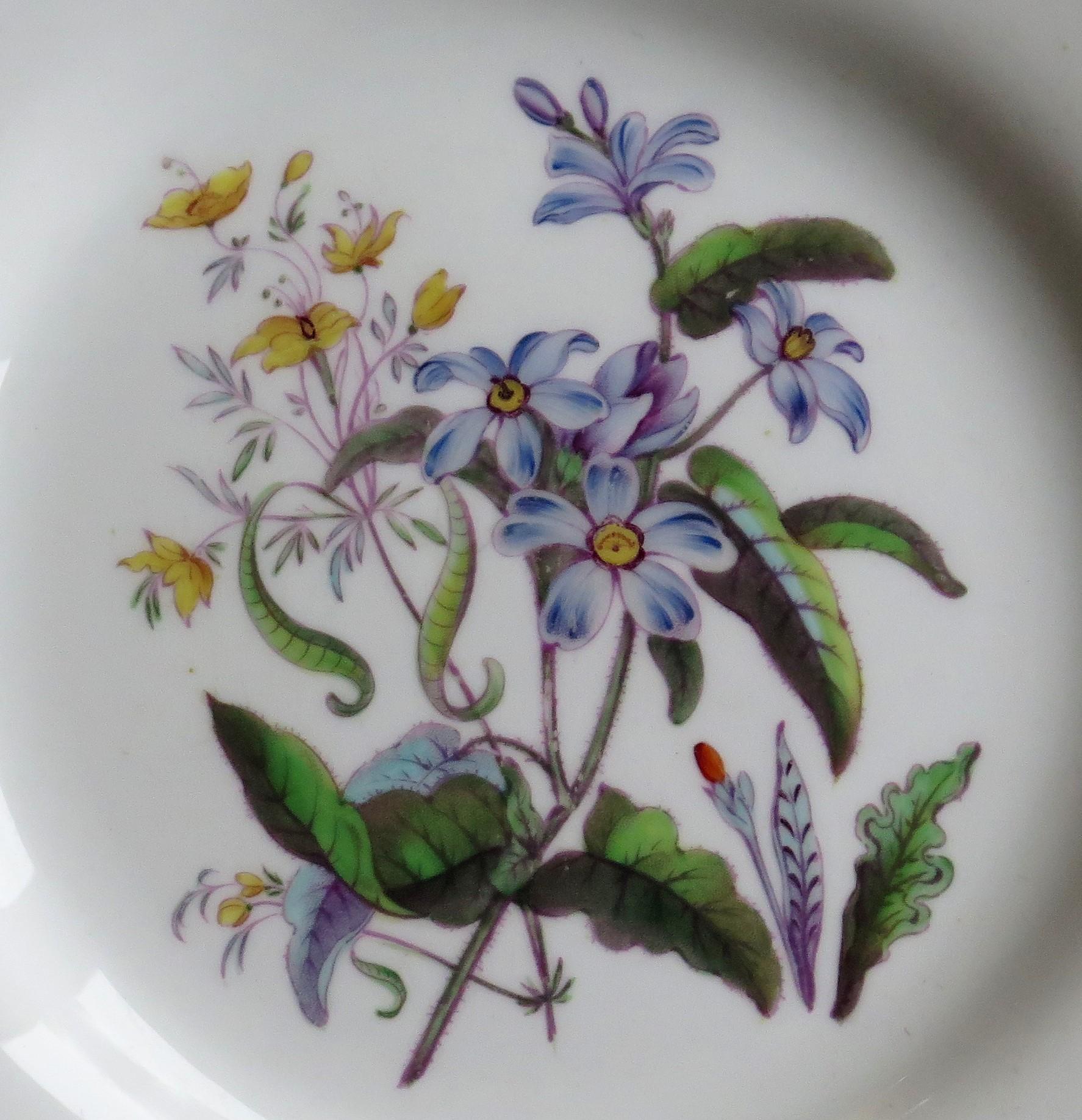 William IVth John Ridgway PAIR Porcelain Plates Hand Painted Botanical, Ca 1830 In Good Condition For Sale In Lincoln, Lincolnshire