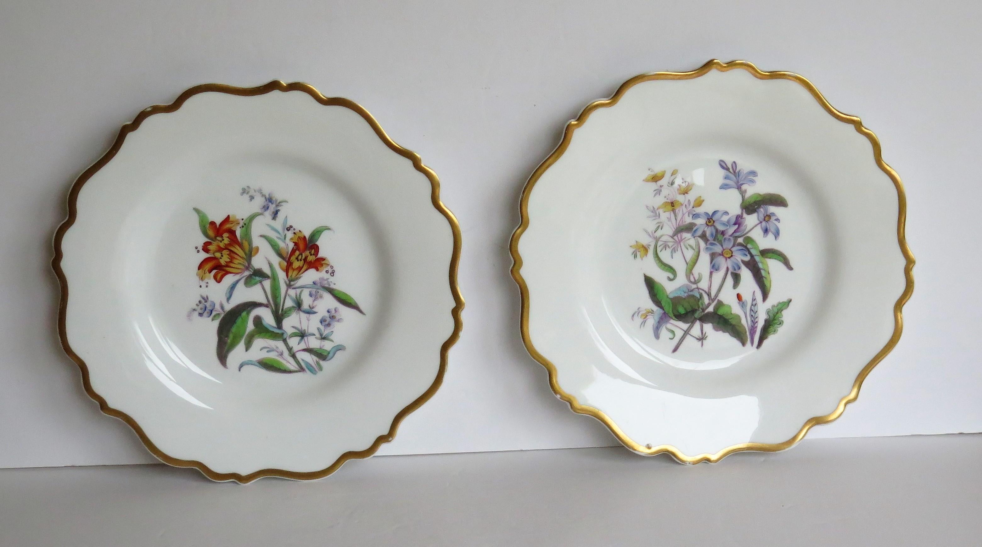 19th Century William IVth John Ridgway PAIR Porcelain Plates Hand Painted Botanical, Ca 1830 For Sale