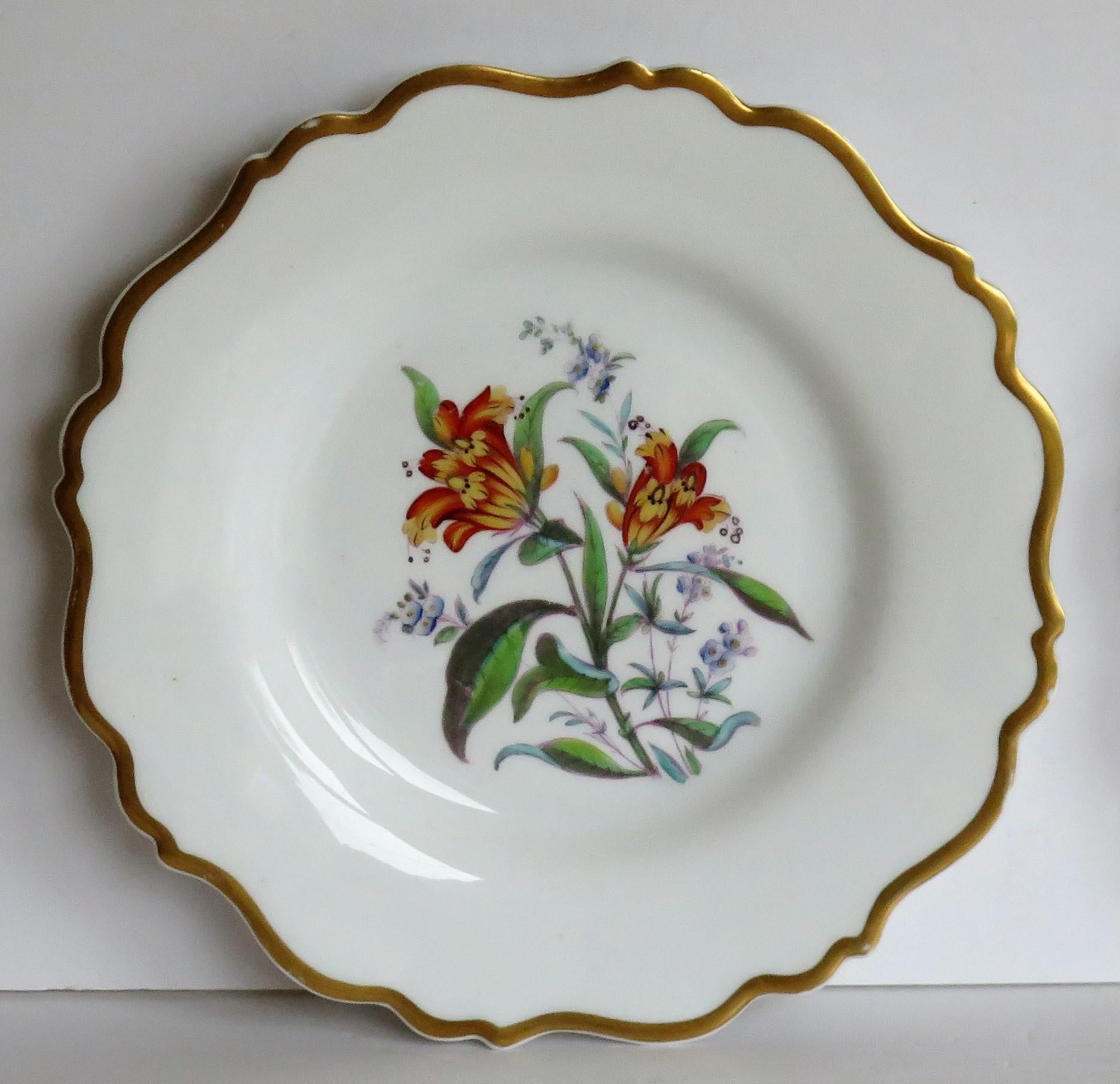 William IVth John Ridgway PAIR Porcelain Plates Hand Painted Botanical, Ca 1830 For Sale 1