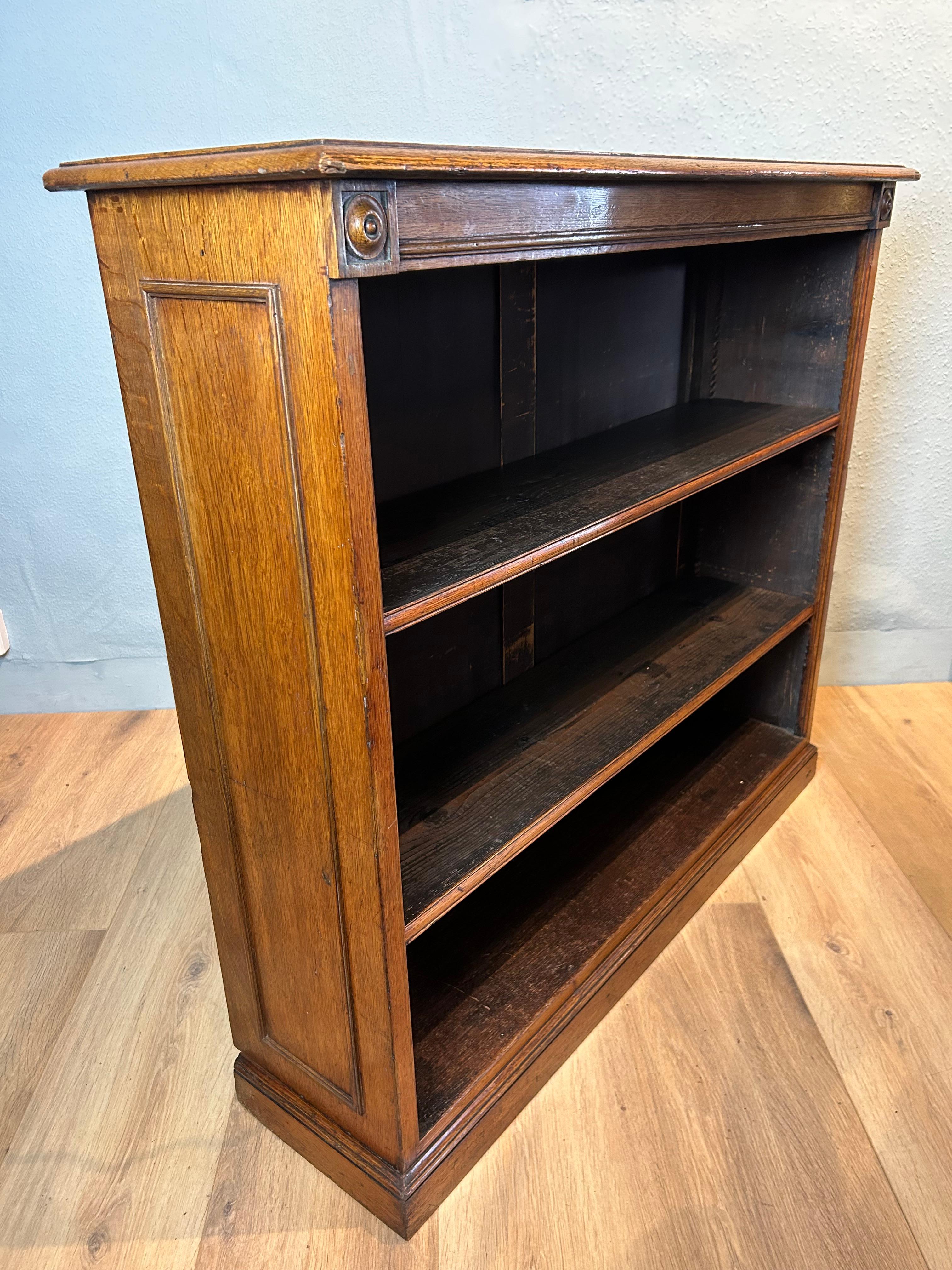 English antique oak open bookcase circa 1830, attractive light honey colour with moulded top, two adjustable shelves flanked by turned roundels, the ends decorated with insert  astragal mouldings one being originally pine resting on a moulded plinth