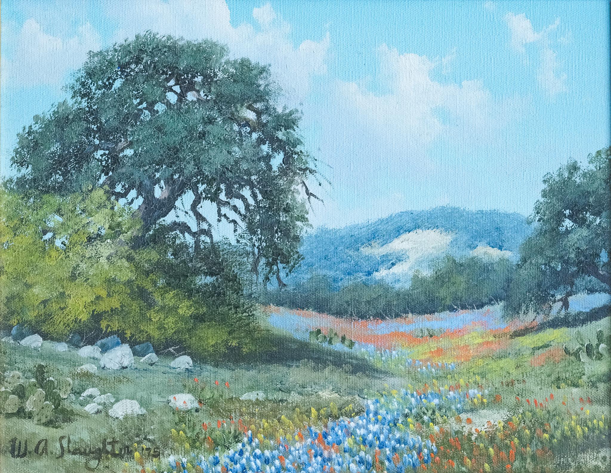 "Texas Hill Country Frühling Bluebonnets und Wildblumen" Nature Landscape