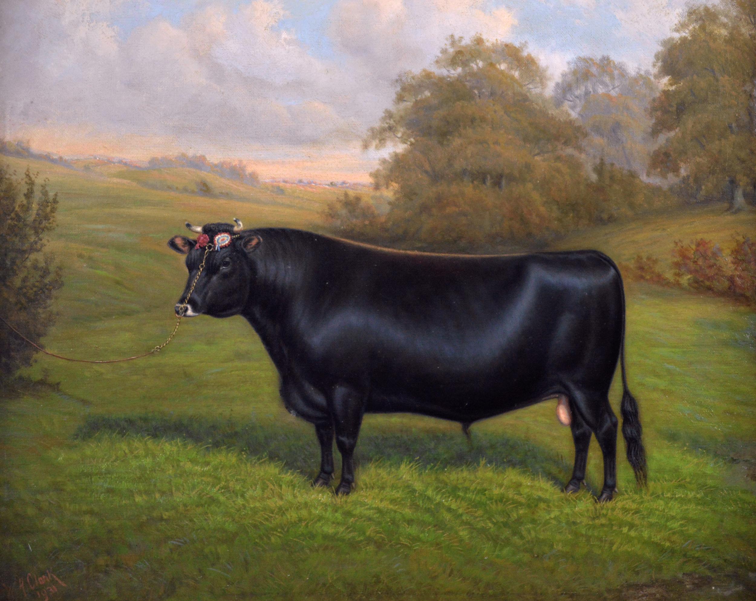 Animal portrait oil painting of a prize bull - Painting by William Albert Clark