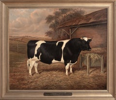 Portrait Of "Felhampton Candidate", 1st Place Prize Winning Friesian Bull, 1922