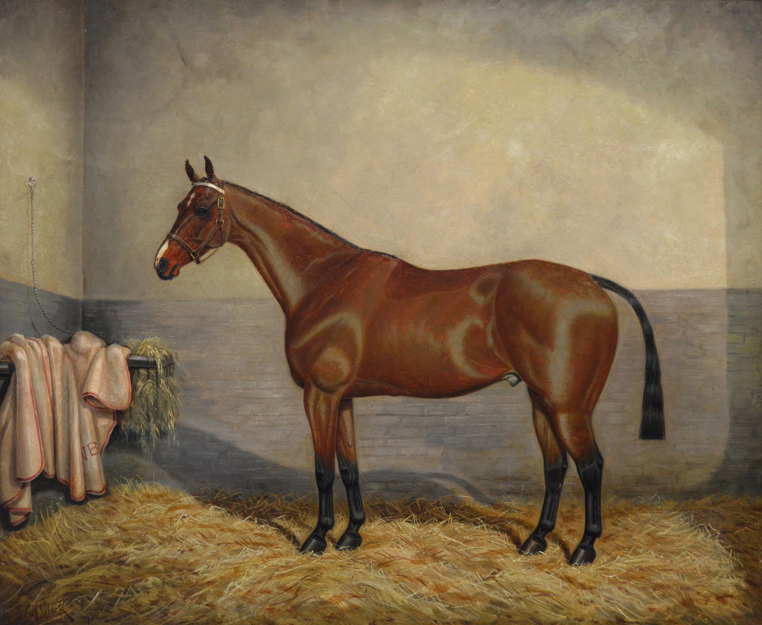 Sporting horse portrait oil painting of a bay racehorse in a stable - Painting by William Albert Clark