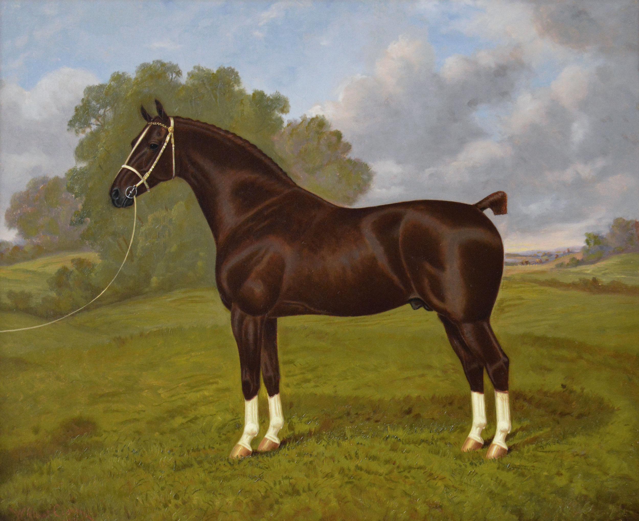 Sporting horse portrait oil painting of a hackney stallion - Painting by William Albert Clark