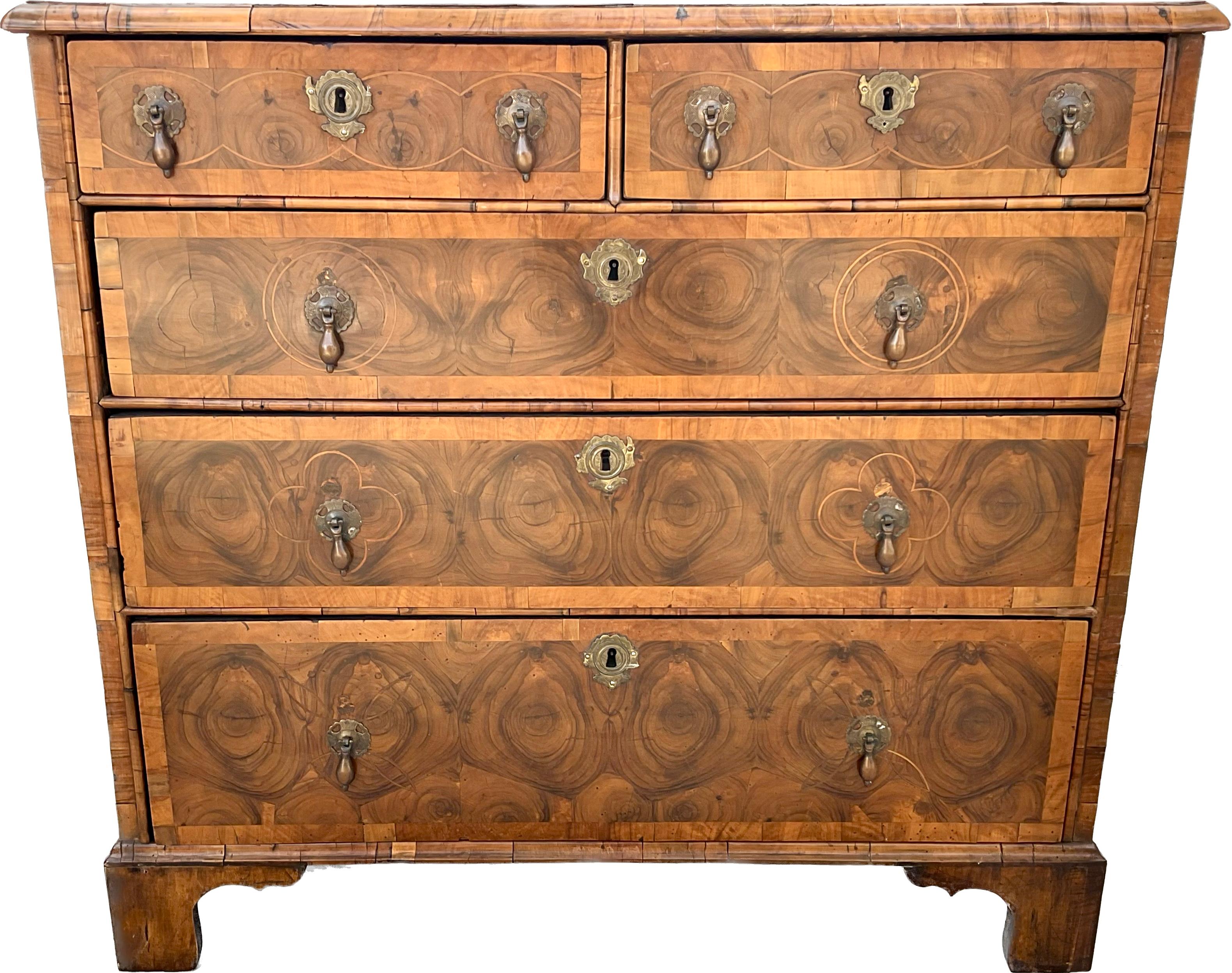 A William and Mary burl cross-branded oyster veneered walnut chest of drawers. Has two short and three long drawers. Dovetail drawers with brass teardrop pulls and brass hardware. Chest stands on wooden bracket feet. 