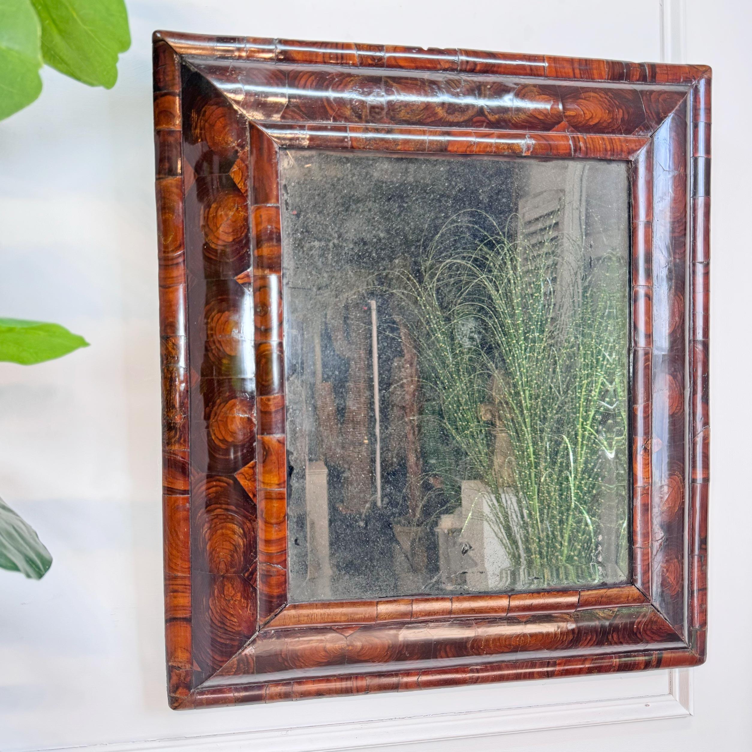 Miroir à coussin en bois d'olivier plaqué d'huîtres William and Mary d'une beauté exceptionnelle. Le cadre est complet, sans aucune perte, et la plaque de miroir biseautée d'origine est roussie. Petites entailles sur le placage en haut du cadre.