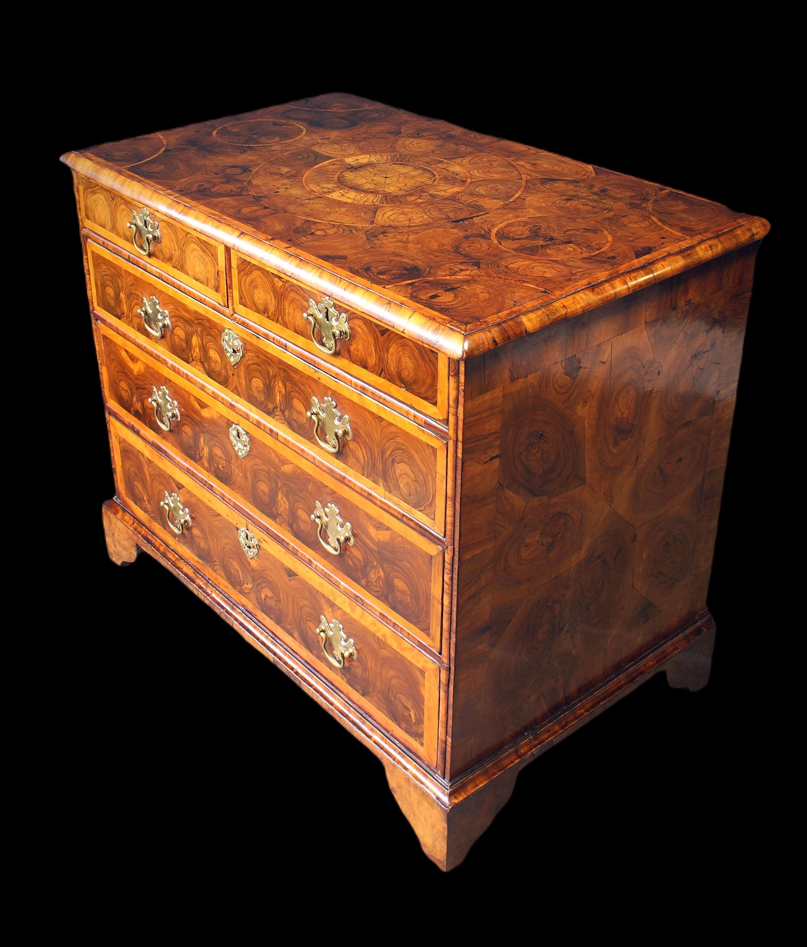William and Mary Oysterwood Chest For Sale 3