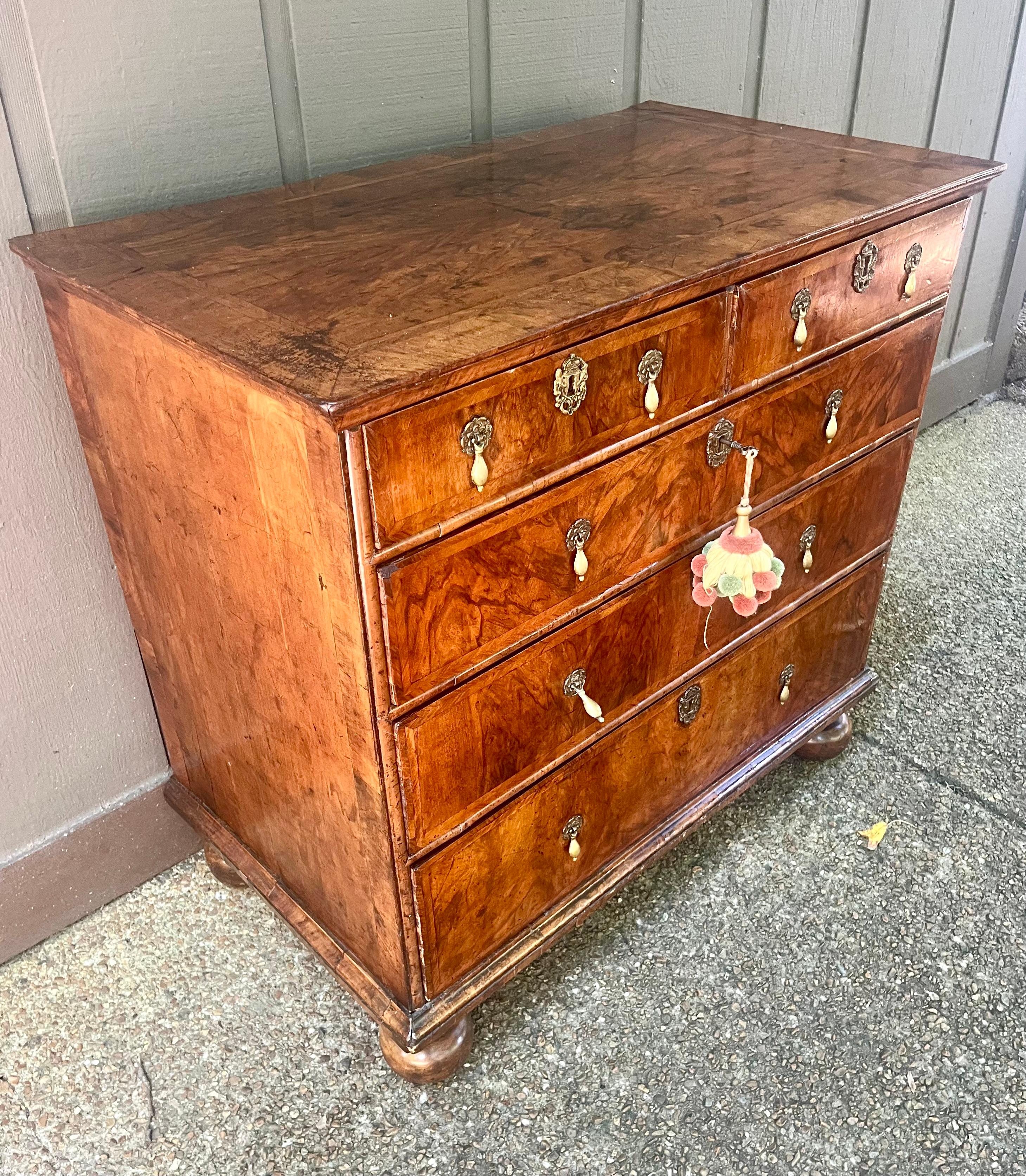 William and Mary Walnut Chest on Bun Feet . 7